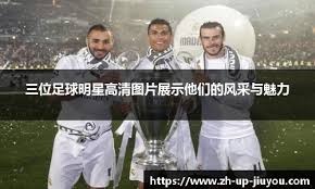 第17轮：马赛0-2南特 集锦